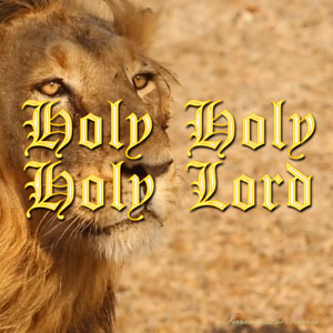 Holy Holy Holy Lord