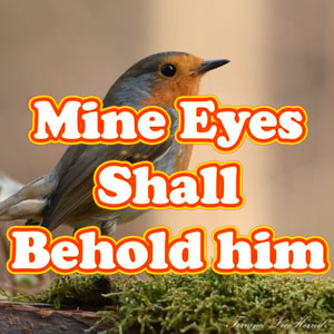 MIne Eyes Shall Behold Him