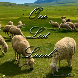 One Lost Lamb