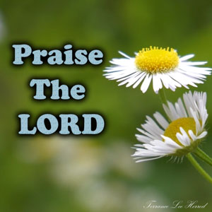 Praise The Lord II