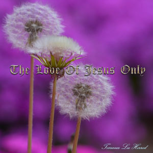 The Love Of Jesus Only